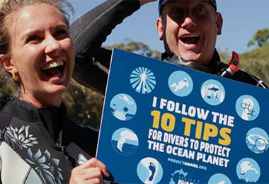 PADI Aware Courses PADI Aware