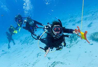 Drift Diving Drift Diving