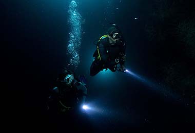 Night Diving Night Divers