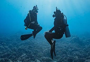 Peak Performance Divers