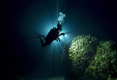 YAY Scuba - Dive into an underwater adventure with expert advice